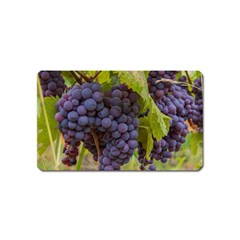 Grapes 4 Magnet (name Card) by trendistuff