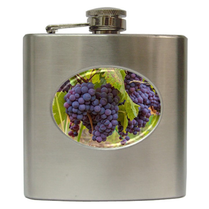 GRAPES 4 Hip Flask (6 oz)