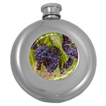 GRAPES 4 Round Hip Flask (5 oz) Front