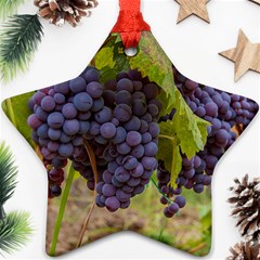 Grapes 4 Star Ornament (two Sides) by trendistuff