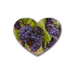 Grapes 4 Rubber Coaster (heart)  by trendistuff