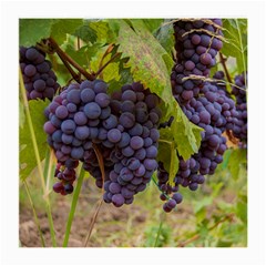 Grapes 4 Medium Glasses Cloth (2-side) by trendistuff