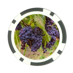 Grapes 4 Poker Chip Card Guard (10 Pack) by trendistuff