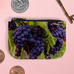 Grapes 4 Mini Coin Purses by trendistuff