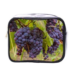 Grapes 4 Mini Toiletries Bags by trendistuff