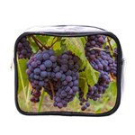 GRAPES 4 Mini Toiletries Bags Front