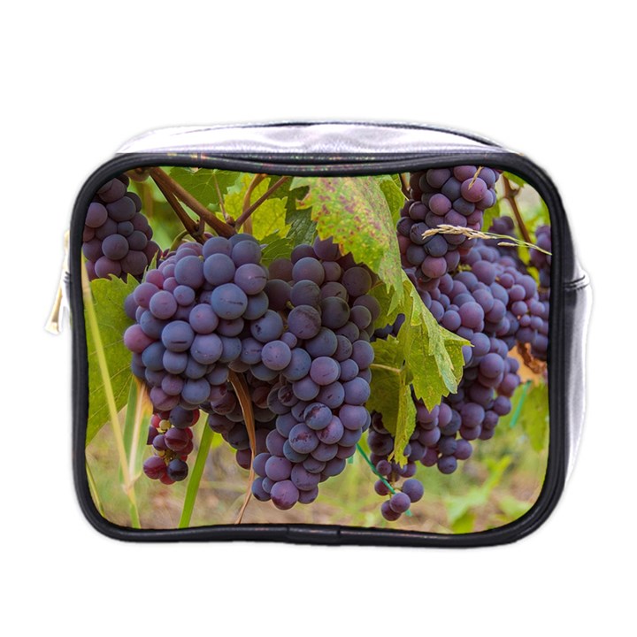 GRAPES 4 Mini Toiletries Bags