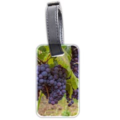 Grapes 4 Luggage Tags (two Sides)