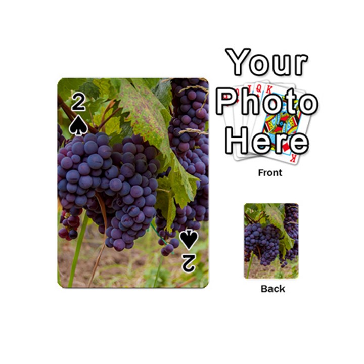 GRAPES 4 Playing Cards 54 (Mini) 