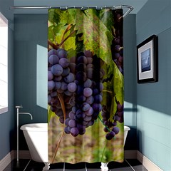 Grapes 4 Shower Curtain 36  X 72  (stall)  by trendistuff