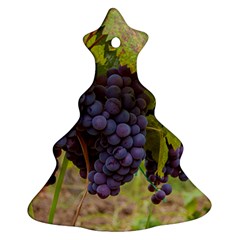 Grapes 4 Christmas Tree Ornament (two Sides)