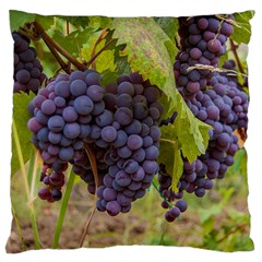 Grapes 4 Large Cushion Case (two Sides) by trendistuff