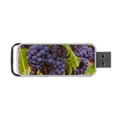 Grapes 4 Portable Usb Flash (one Side) by trendistuff