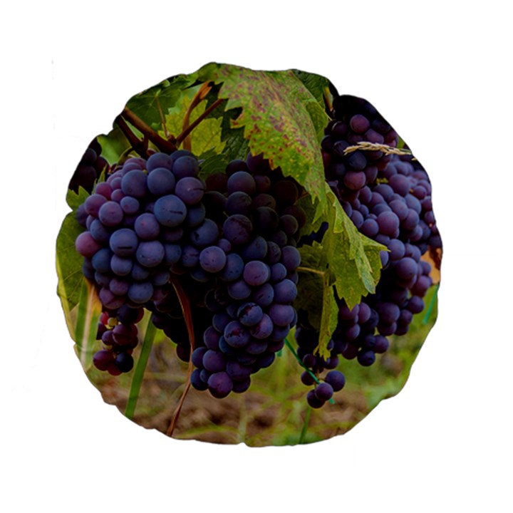 GRAPES 4 Standard 15  Premium Round Cushions