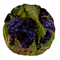 Grapes 4 Large 18  Premium Round Cushions by trendistuff