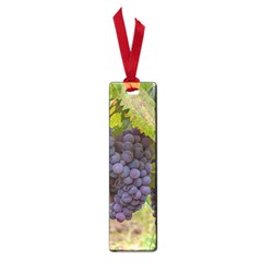 Grapes 4 Small Book Marks by trendistuff