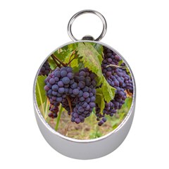 Grapes 4 Mini Silver Compasses by trendistuff