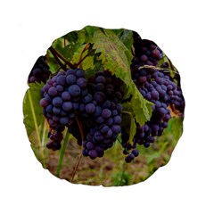 Grapes 4 Standard 15  Premium Flano Round Cushions by trendistuff