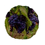 GRAPES 4 Standard 15  Premium Flano Round Cushions Front