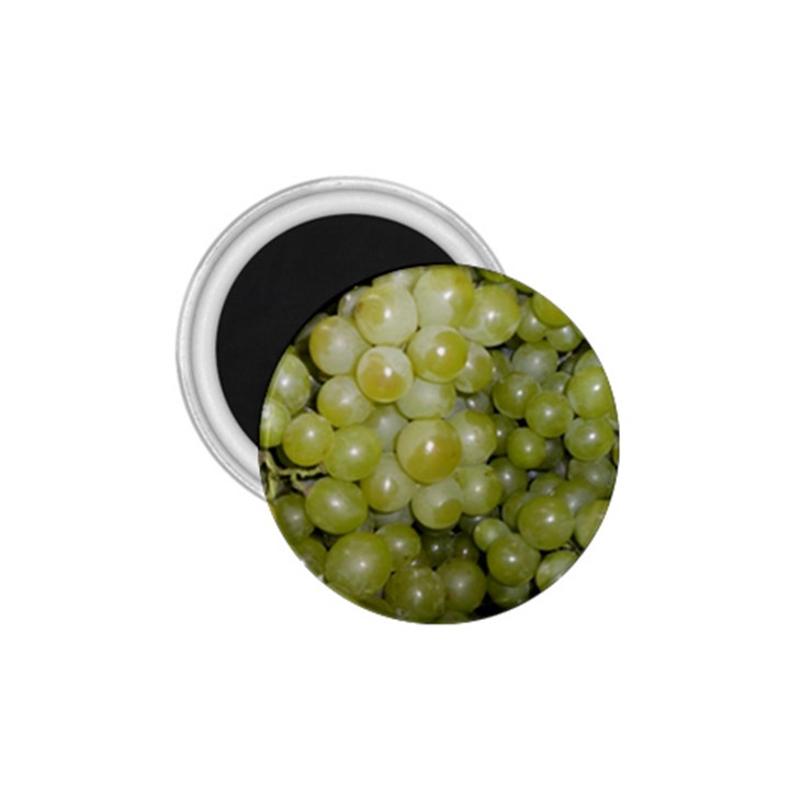 GRAPES 5 1.75  Magnets