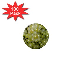 Grapes 5 1  Mini Magnets (100 Pack)  by trendistuff