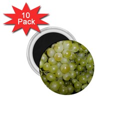 GRAPES 5 1.75  Magnets (10 pack) 