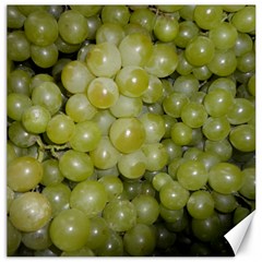 Grapes 5 Canvas 12  X 12   by trendistuff