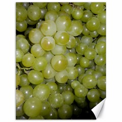 GRAPES 5 Canvas 18  x 24  