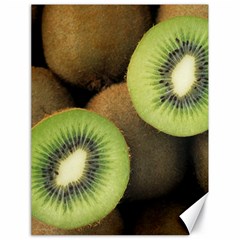 Kiwi 2 Canvas 18  X 24   by trendistuff