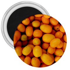 Kumquat 1 3  Magnets by trendistuff