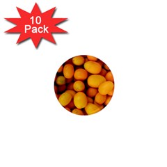 Kumquat 1 1  Mini Magnet (10 Pack)  by trendistuff