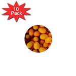 KUMQUAT 1 1  Mini Magnet (10 pack)  Front