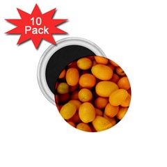 Kumquat 1 1 75  Magnets (10 Pack)  by trendistuff