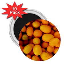 Kumquat 1 2 25  Magnets (10 Pack)  by trendistuff