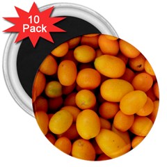 Kumquat 1 3  Magnets (10 Pack)  by trendistuff