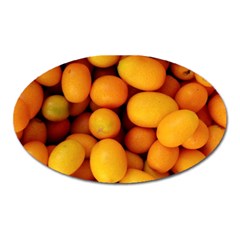 Kumquat 1 Oval Magnet by trendistuff