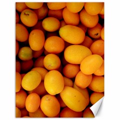 Kumquat 1 Canvas 18  X 24   by trendistuff