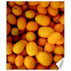 Kumquat 1 Canvas 20  X 24   by trendistuff