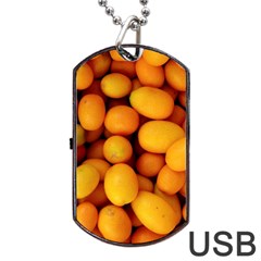 Kumquat 1 Dog Tag Usb Flash (one Side) by trendistuff