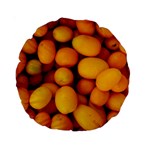 KUMQUAT 1 Standard 15  Premium Round Cushions Back