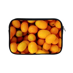 Kumquat 1 Apple Ipad Mini Zipper Cases by trendistuff