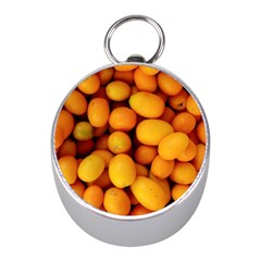 Kumquat 1 Mini Silver Compasses by trendistuff