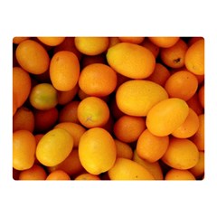 Kumquat 1 Double Sided Flano Blanket (mini)  by trendistuff