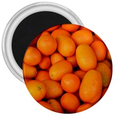 Kumquat 2 3  Magnets by trendistuff