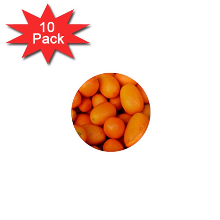 KUMQUAT 2 1  Mini Magnet (10 pack) 