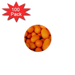 Kumquat 2 1  Mini Magnets (100 Pack)  by trendistuff