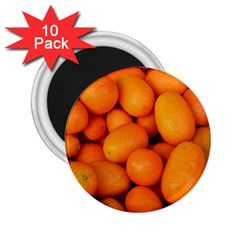 Kumquat 2 2 25  Magnets (10 Pack)  by trendistuff