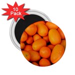 KUMQUAT 2 2.25  Magnets (10 pack)  Front