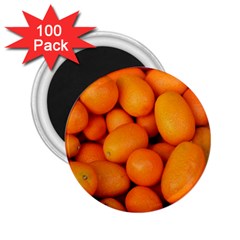 Kumquat 2 2 25  Magnets (100 Pack)  by trendistuff