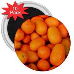 Kumquat 2 3  Magnets (10 Pack)  by trendistuff